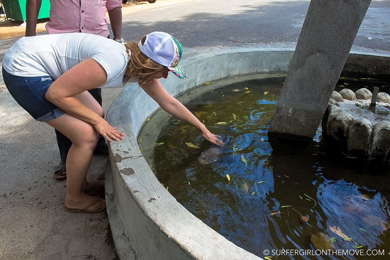 O lago em Deepa Uyana, Polonnaruwa