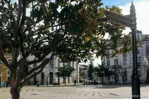 visit leiria square
