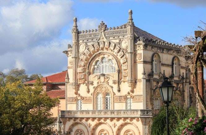Mata do Buçaco Destaque