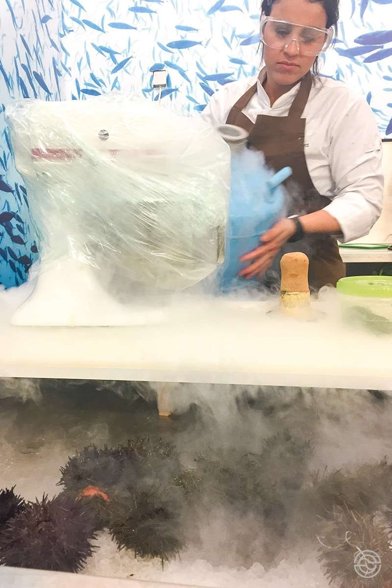 International Sea Urchin Festival