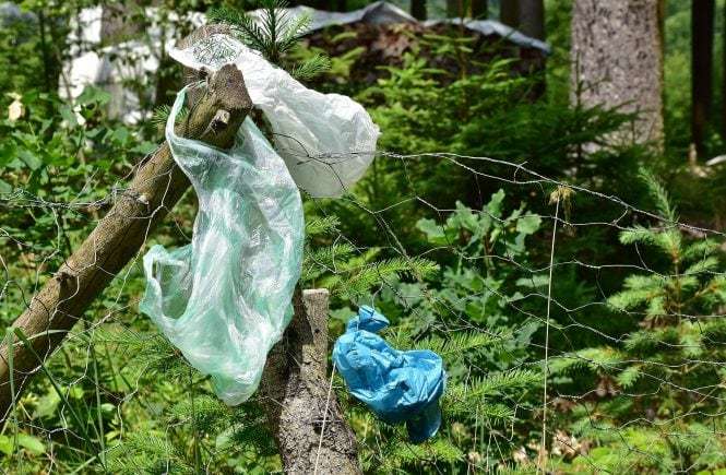 World Environment Day — Stop Plastic!