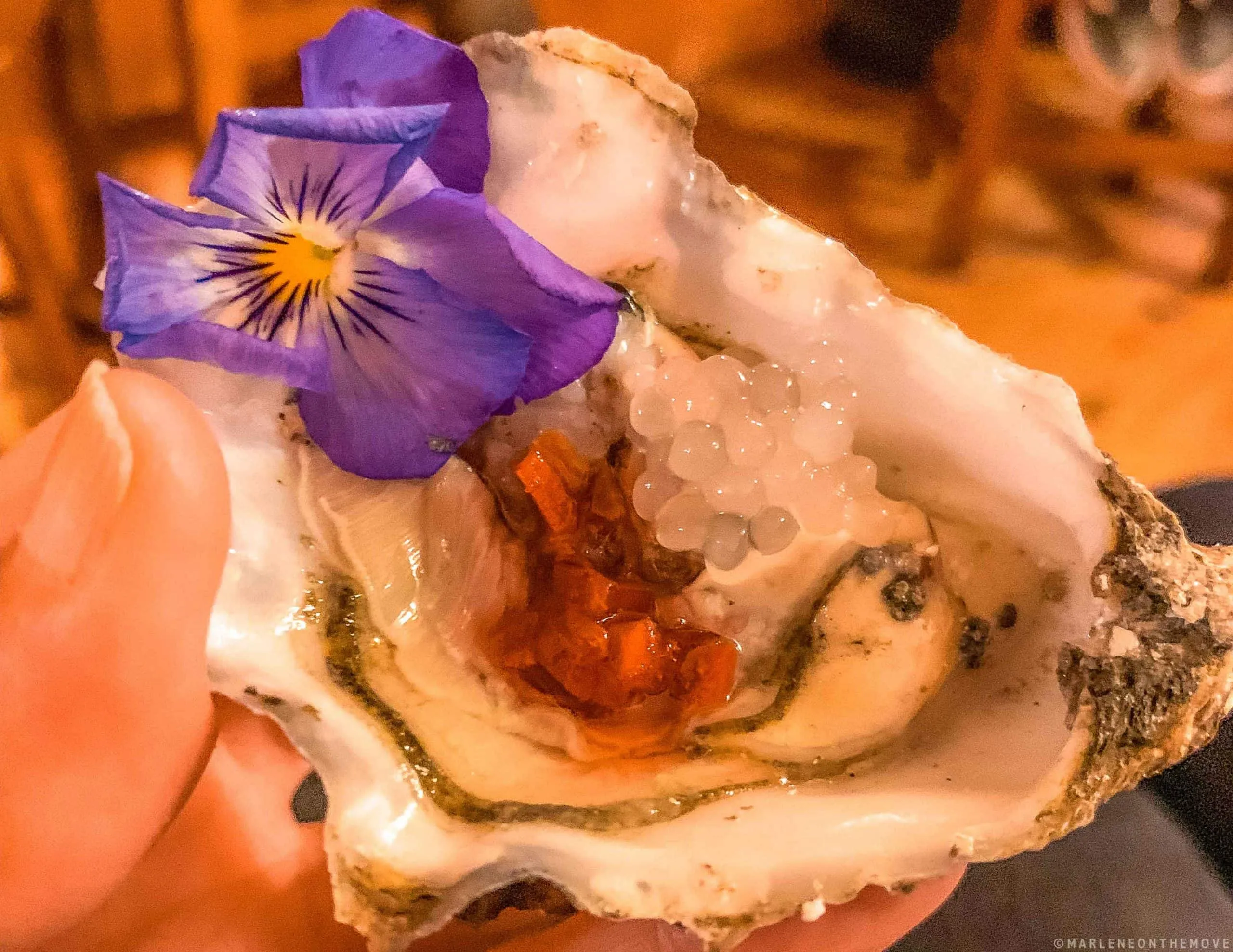 Pearl Oyster & Wine Bar Ericeira