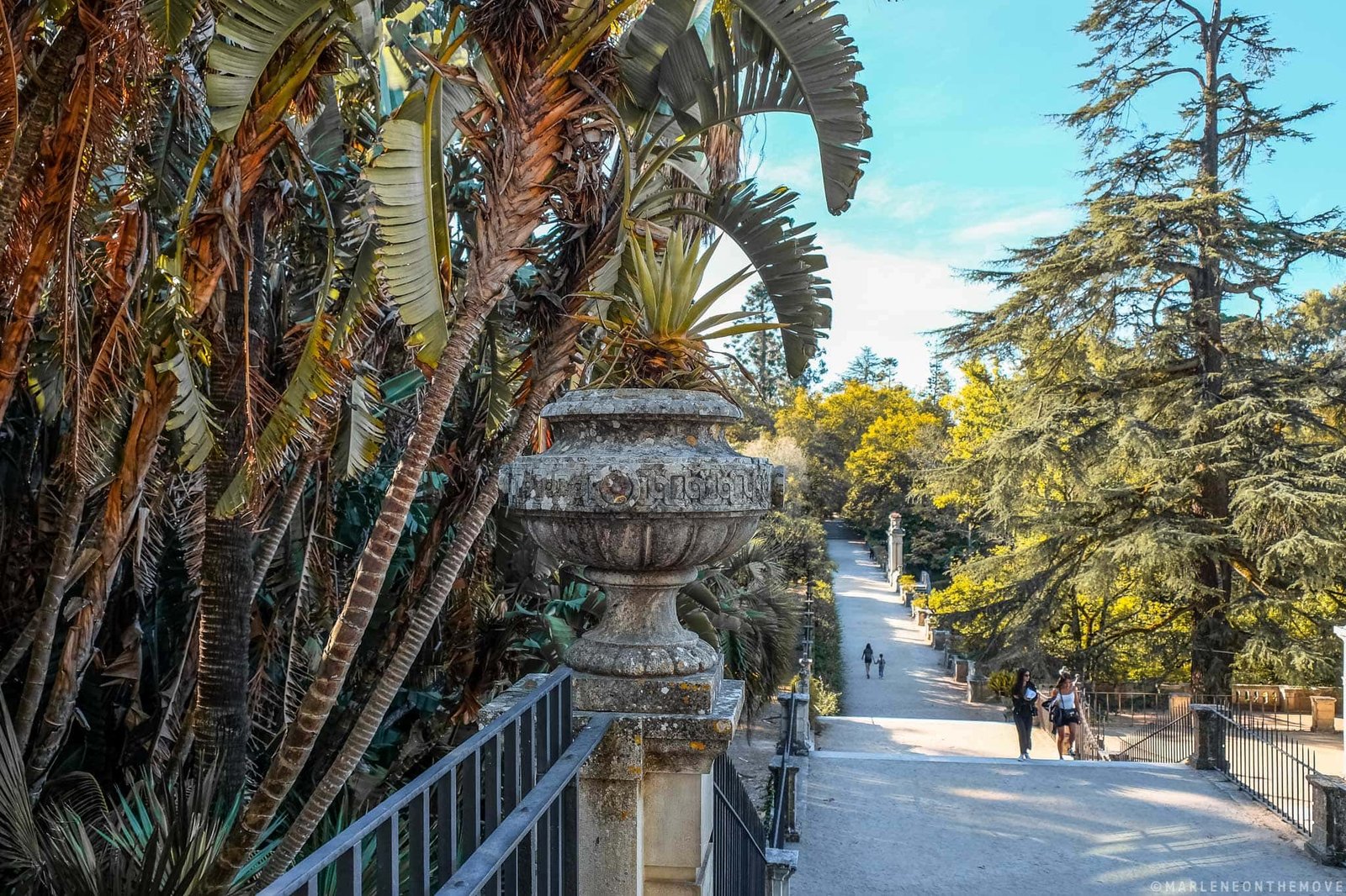 Jardim Botânico | Botanical Garden