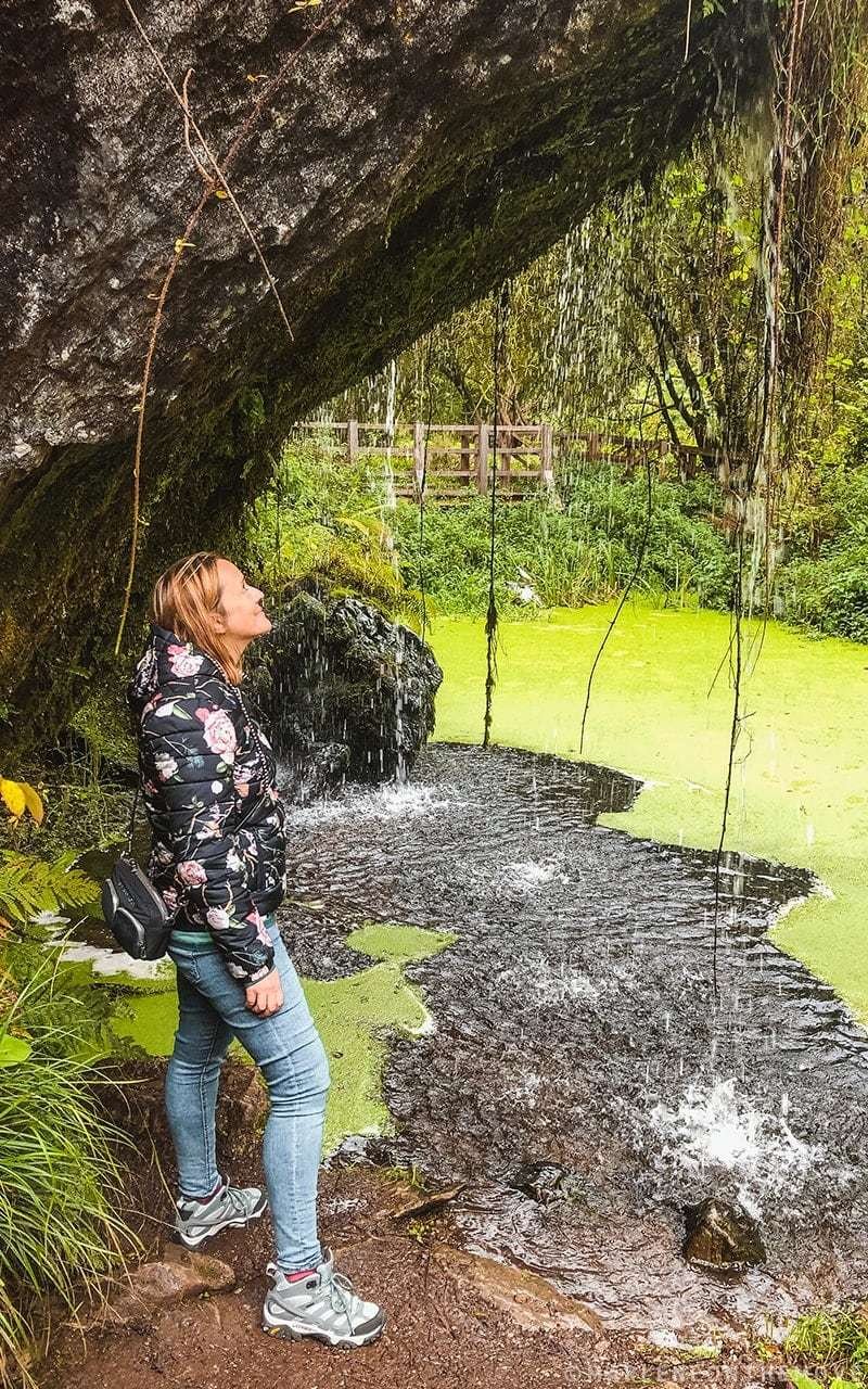 Castelo de Blarney-Rock Close-Blarney Castle