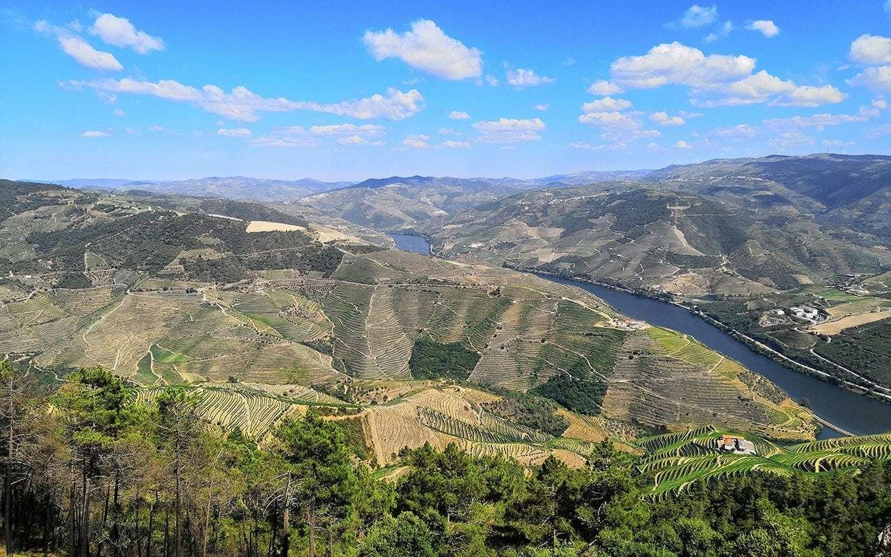 Douro