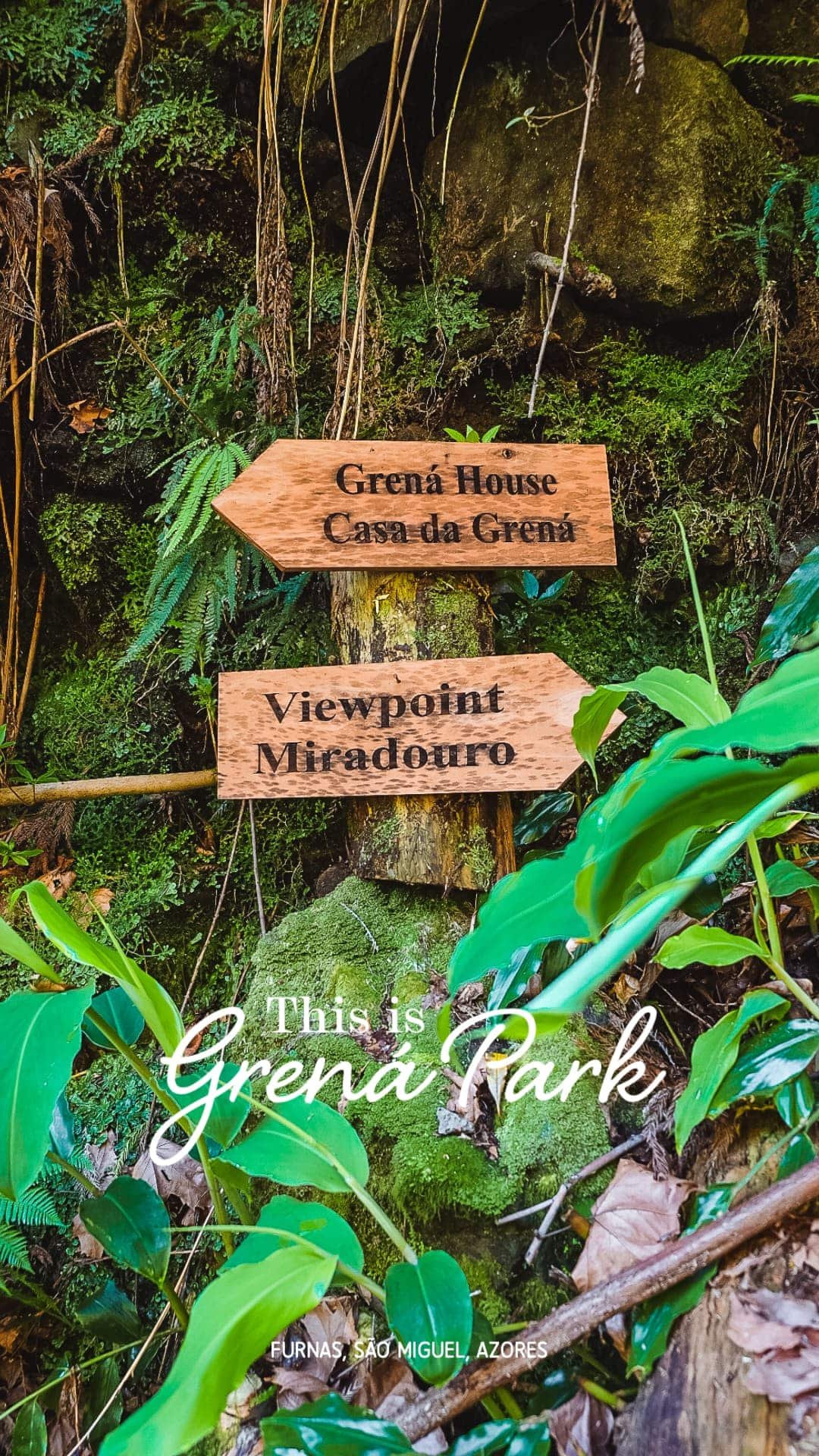 The Grená Park, in Furnas, is a new natural attraction on the island of São Miguel, in the Azores. Discover this paradise that was hidden until now.