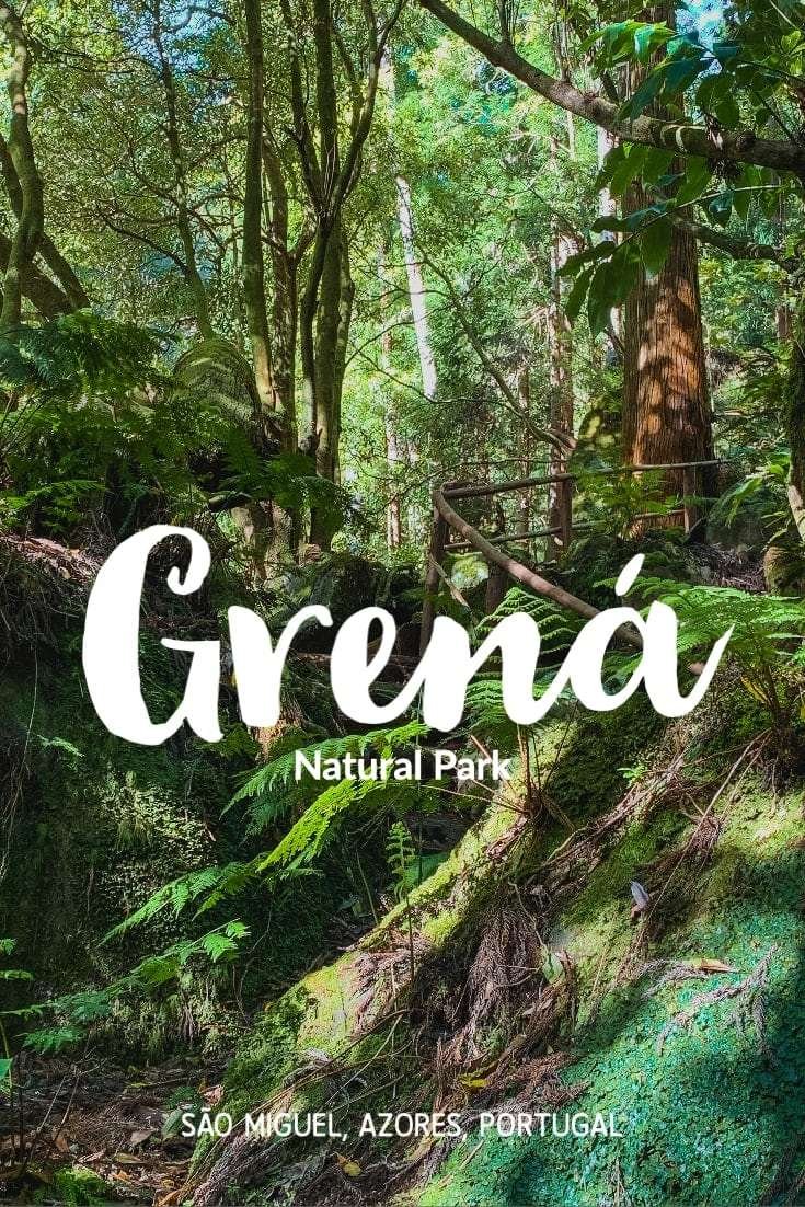 The Grená Park, in Furnas, is a new natural attraction on the island of São Miguel, in the Azores. Discover this paradise that was hidden until now.