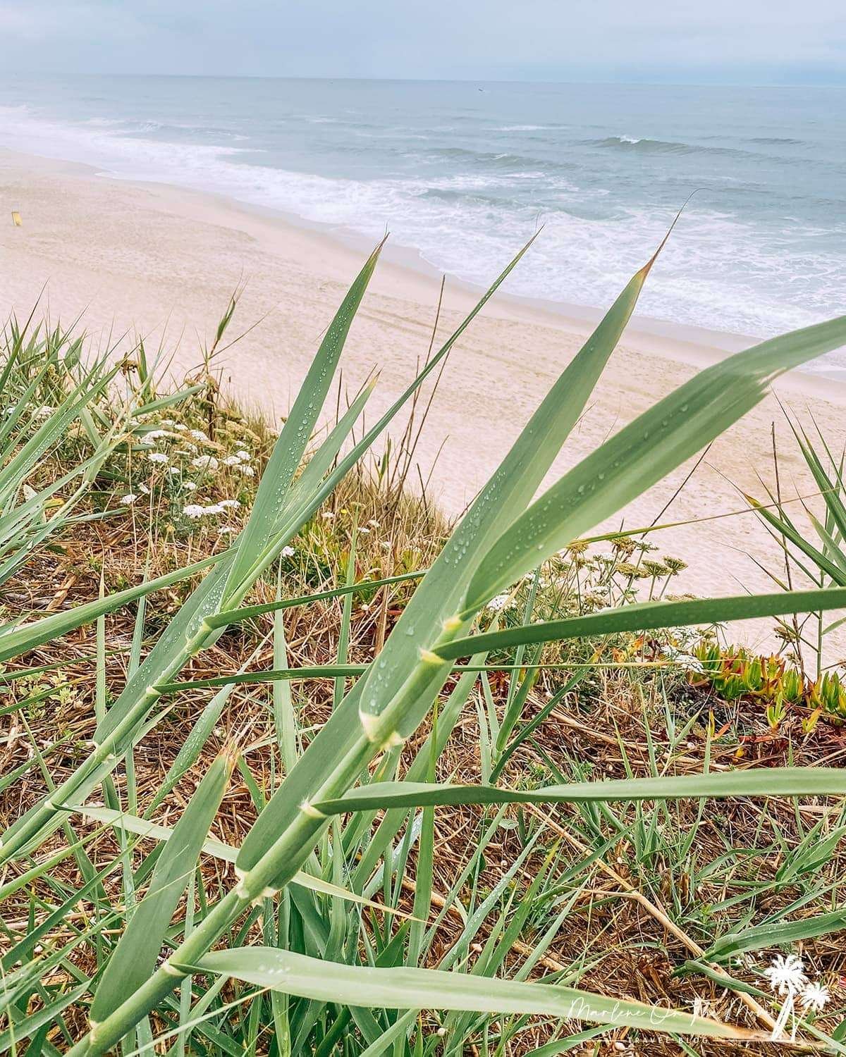 Praia da Légua Beach Nazaré Portugal