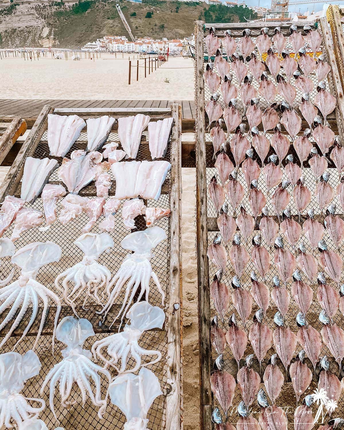 Estendais com peixe Nazaré Portugal