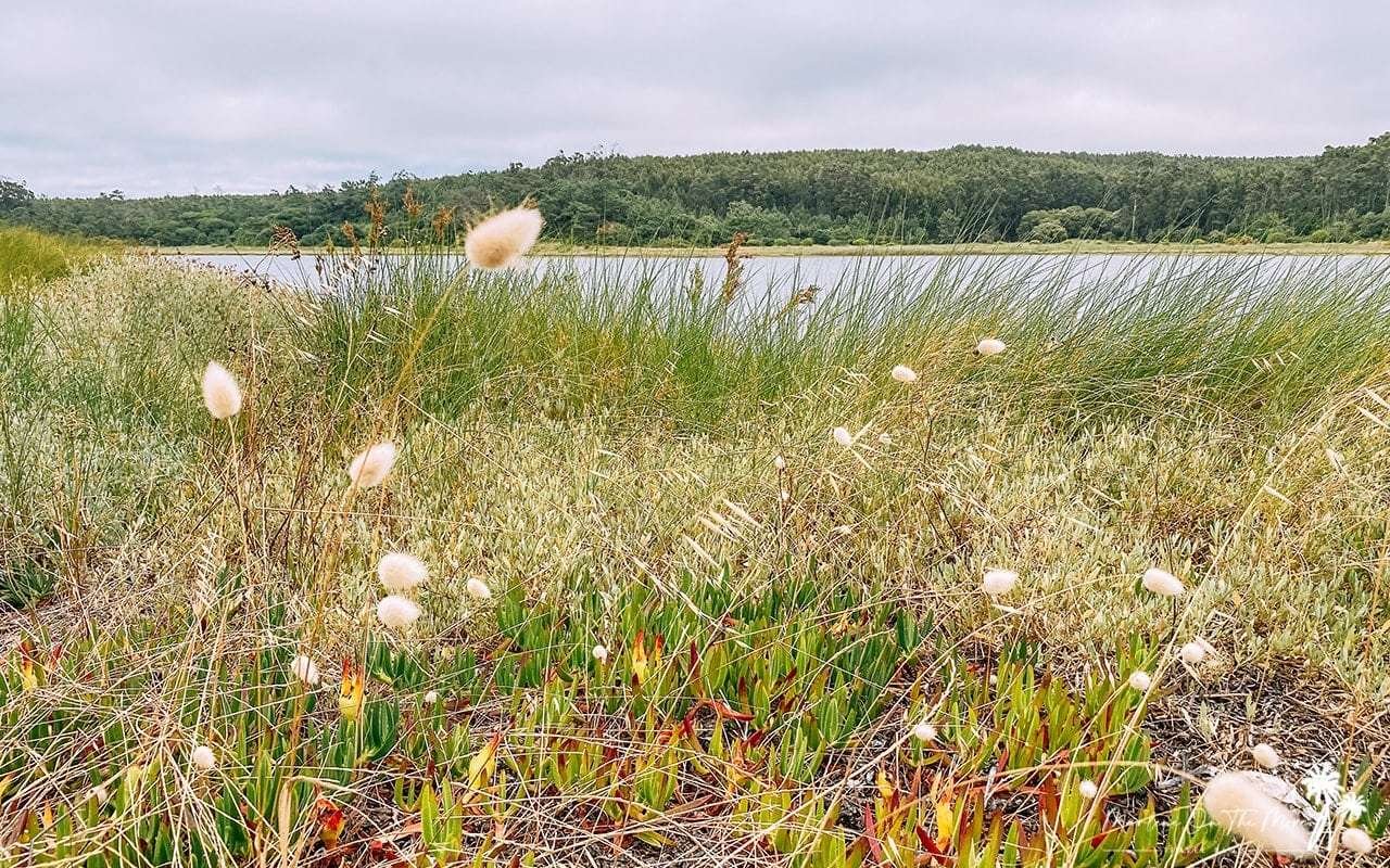 Lagoa de Óbidos Portugal