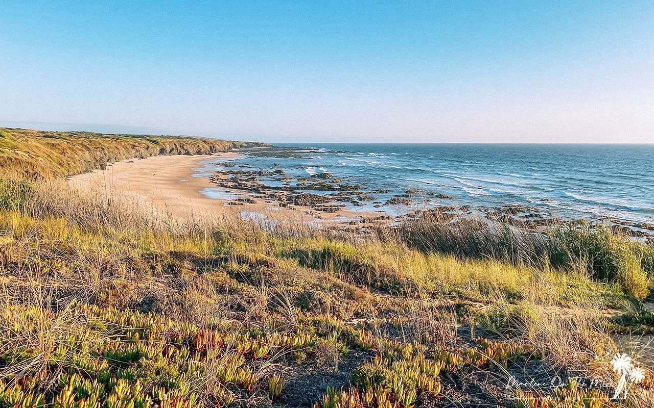 Praia do Brejo Largo Beach