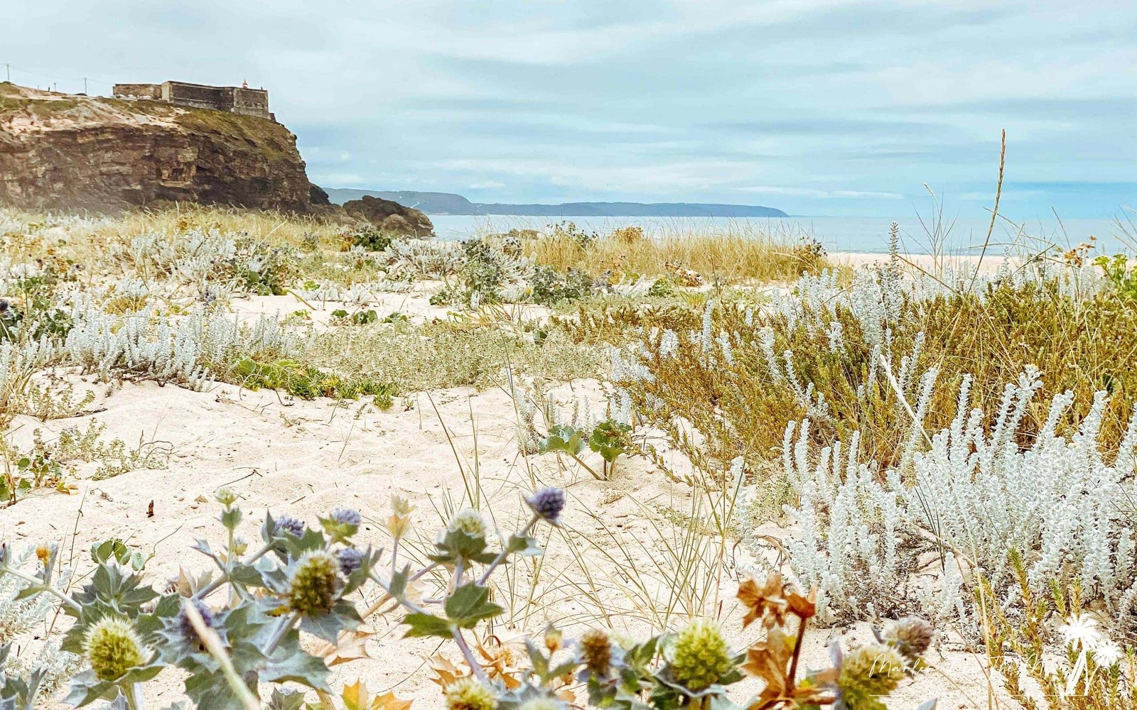 Praia do Norte Beach