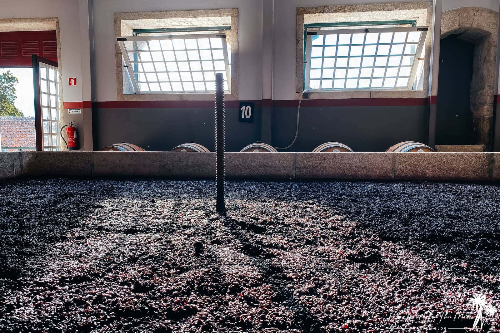 Adega Quinta da Pacheca winery