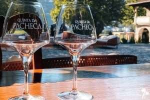 Quinta da Pacheca, Douro, Portugal