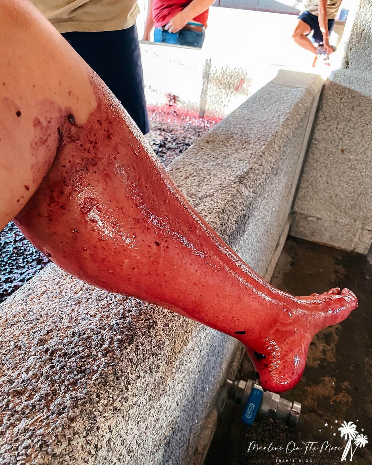 Marlene On The Move in Quinta da Pacheca