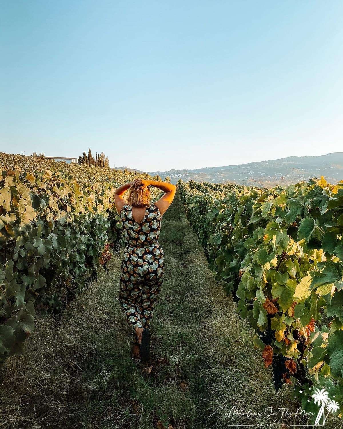 Quinta da Pacheca, Marlene On The Move