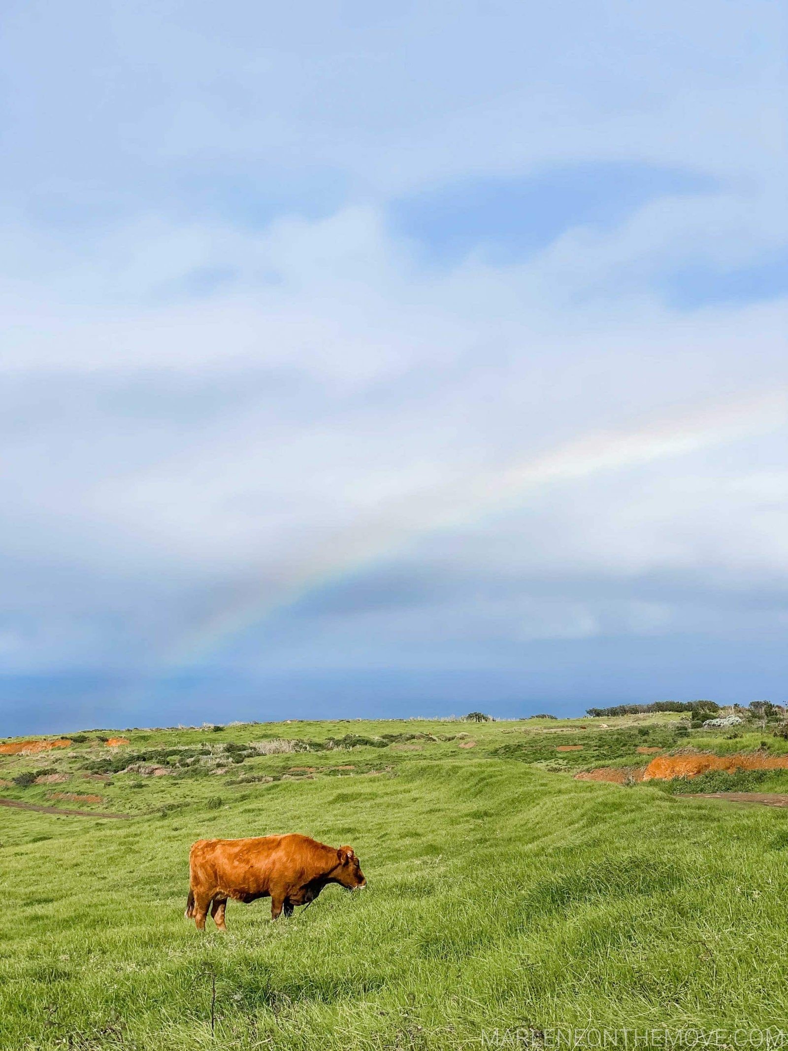 Ponta do Pargo Madeira