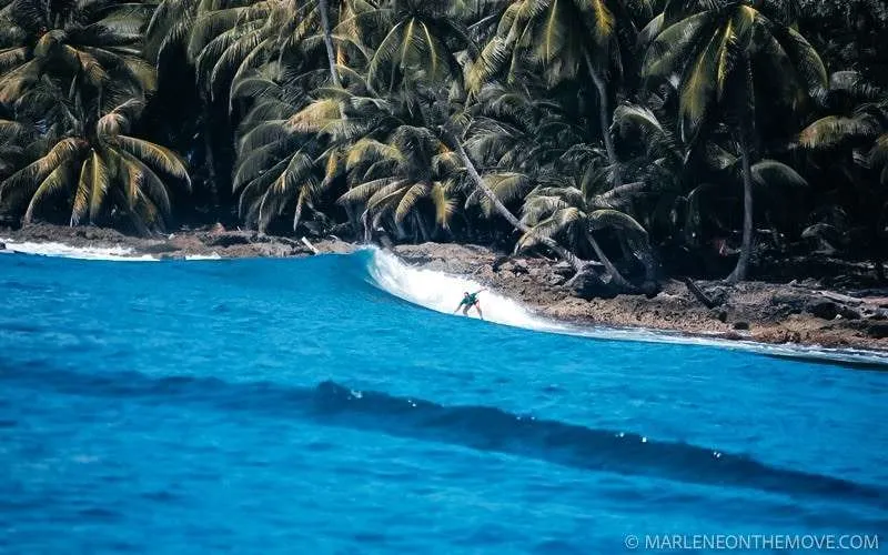 Burger world Mentawai surf