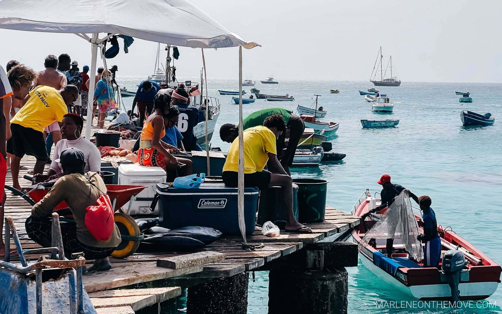 Pontão de Santa Maria - Santa Maria pier with local fish vendors