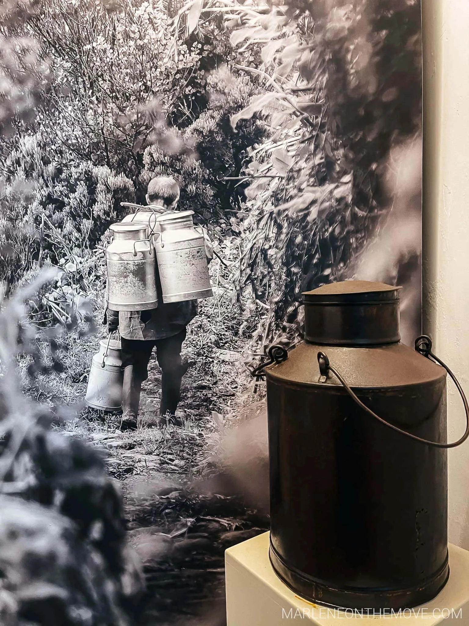 Museu das Flores - Flores Museum