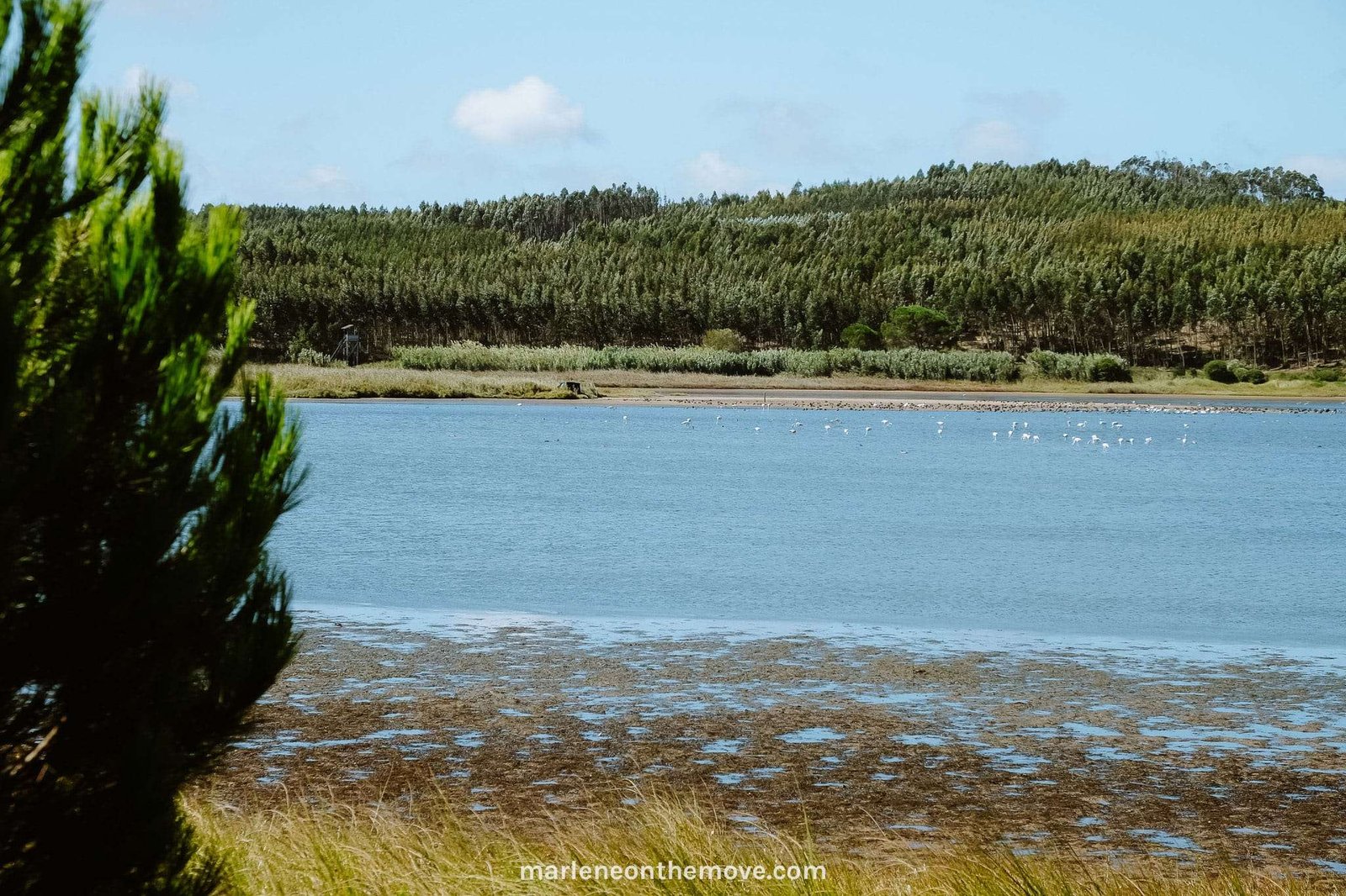 View over Lagoa de Óbidos with flamingos in the water