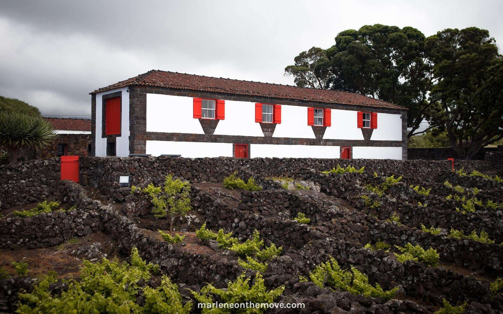Museu do Vinho do Pico, wine museum