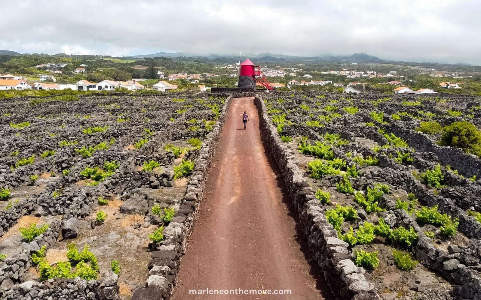 Pico island landscape, a Unesco world heritage