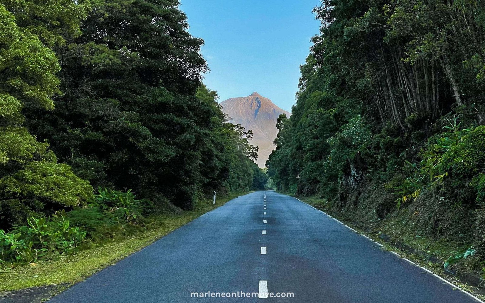 Road mountain at Pico