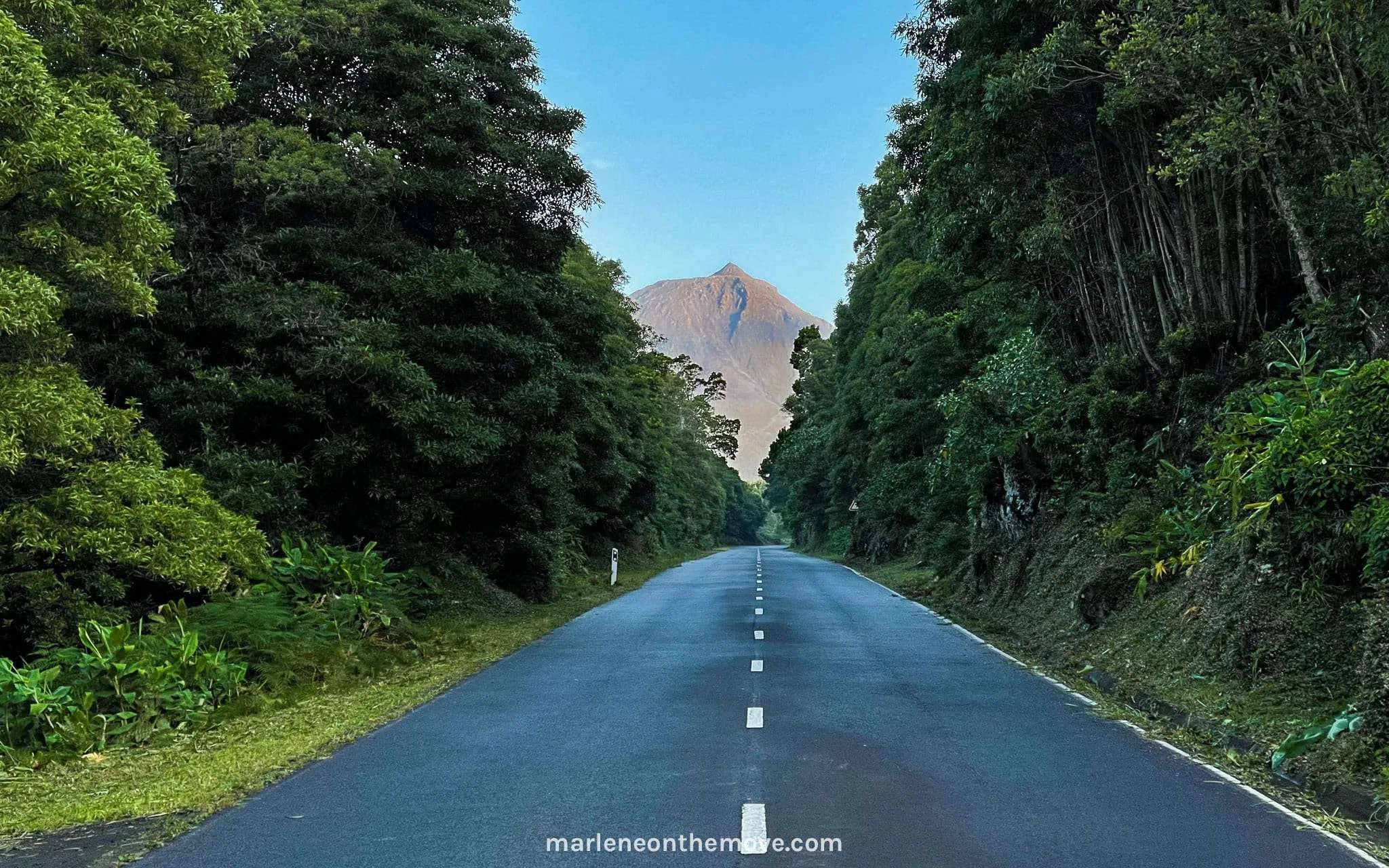 Road mountain at Pico