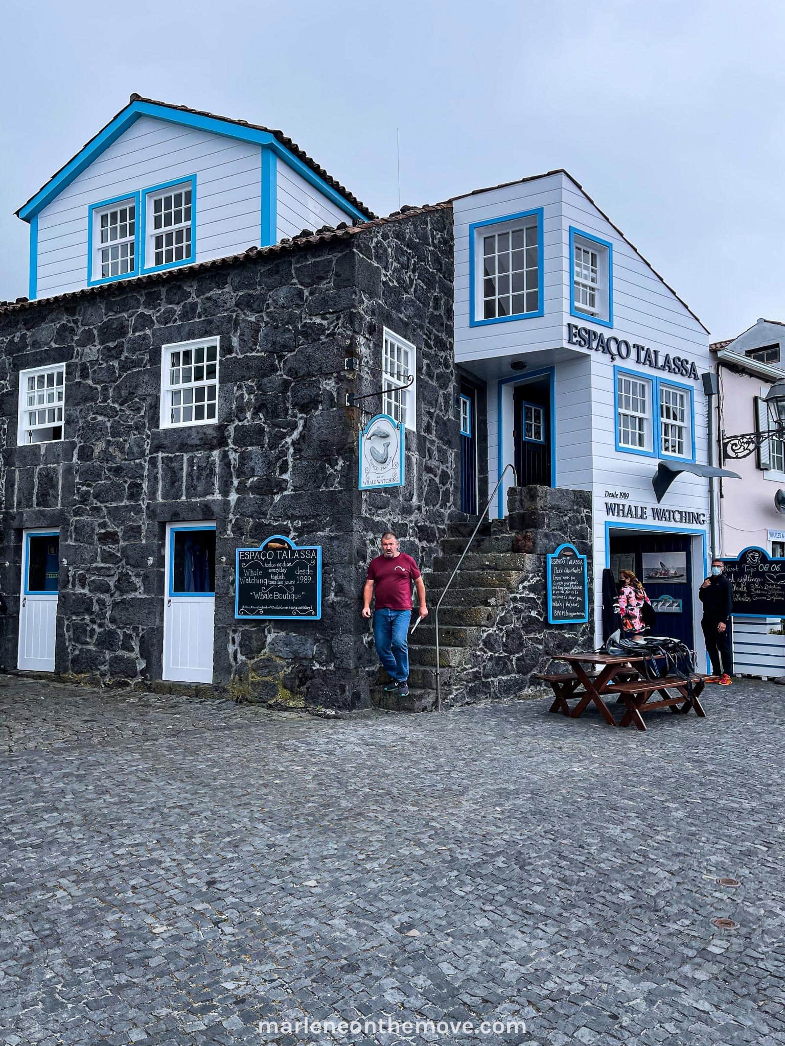 Espaço Talassa for whales and dolphin watching in Pico Island