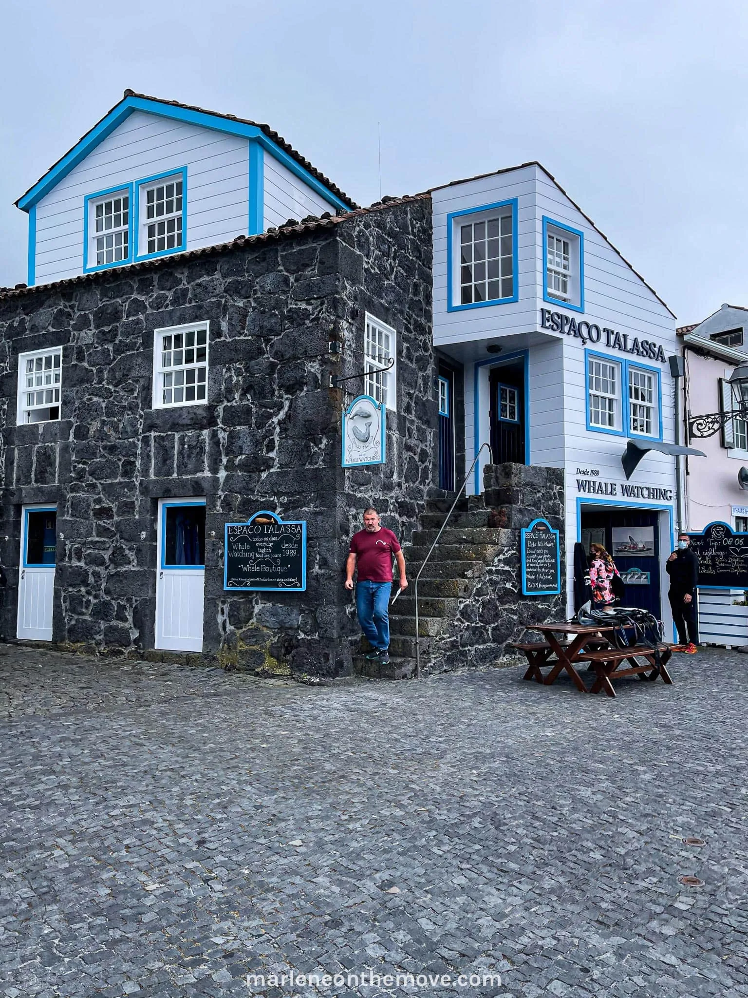 Espaço Talassa for whales and dolphin watching in Pico Island