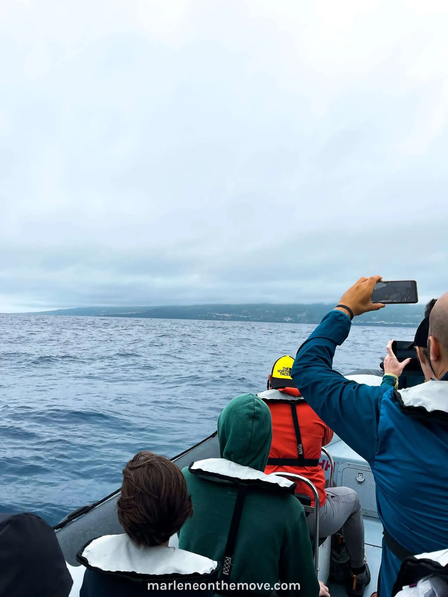 Whales and dolphin watching in Pico Island