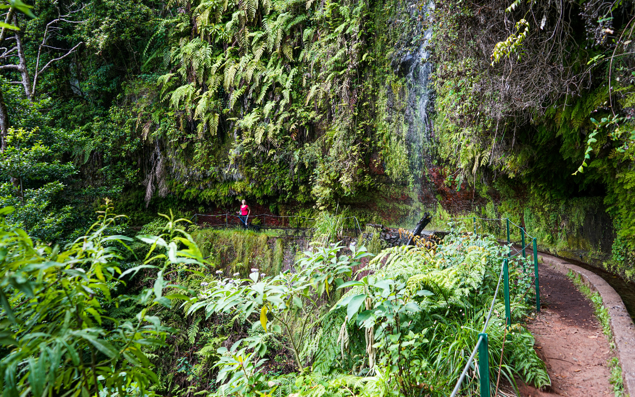 Travel Notes is a travel podcast. The new episode is about Madeira Island, in Portugal