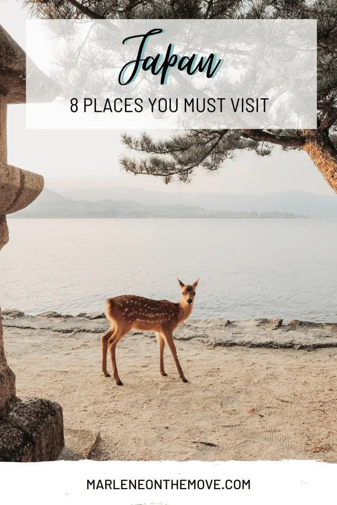 Discover the top places to visit in Japan, from the bustling streets of Tokyo to the serene temples of Kyoto. Explore the best of Japan's culture and natural beauty.