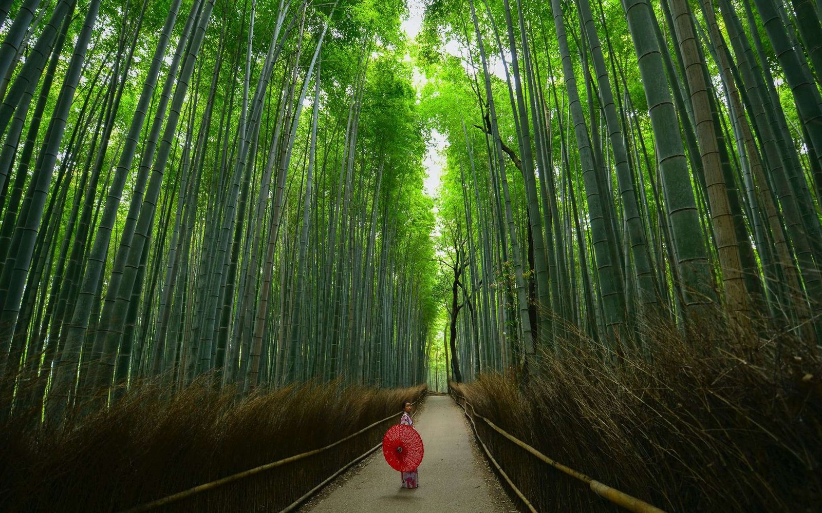 Arashiyama, Quioto, Japão