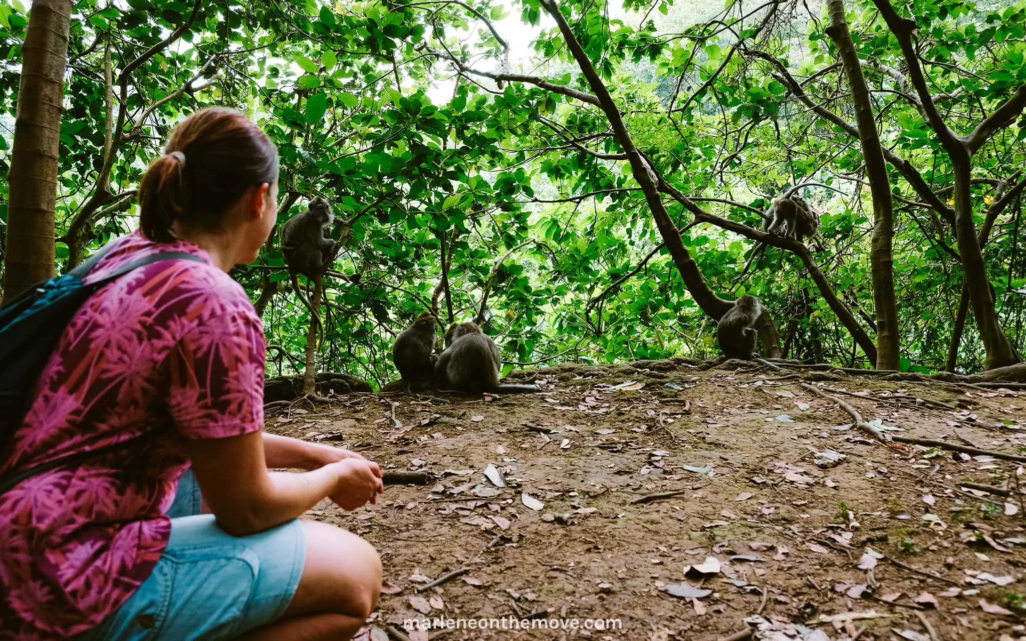 Silently observing the monkeys