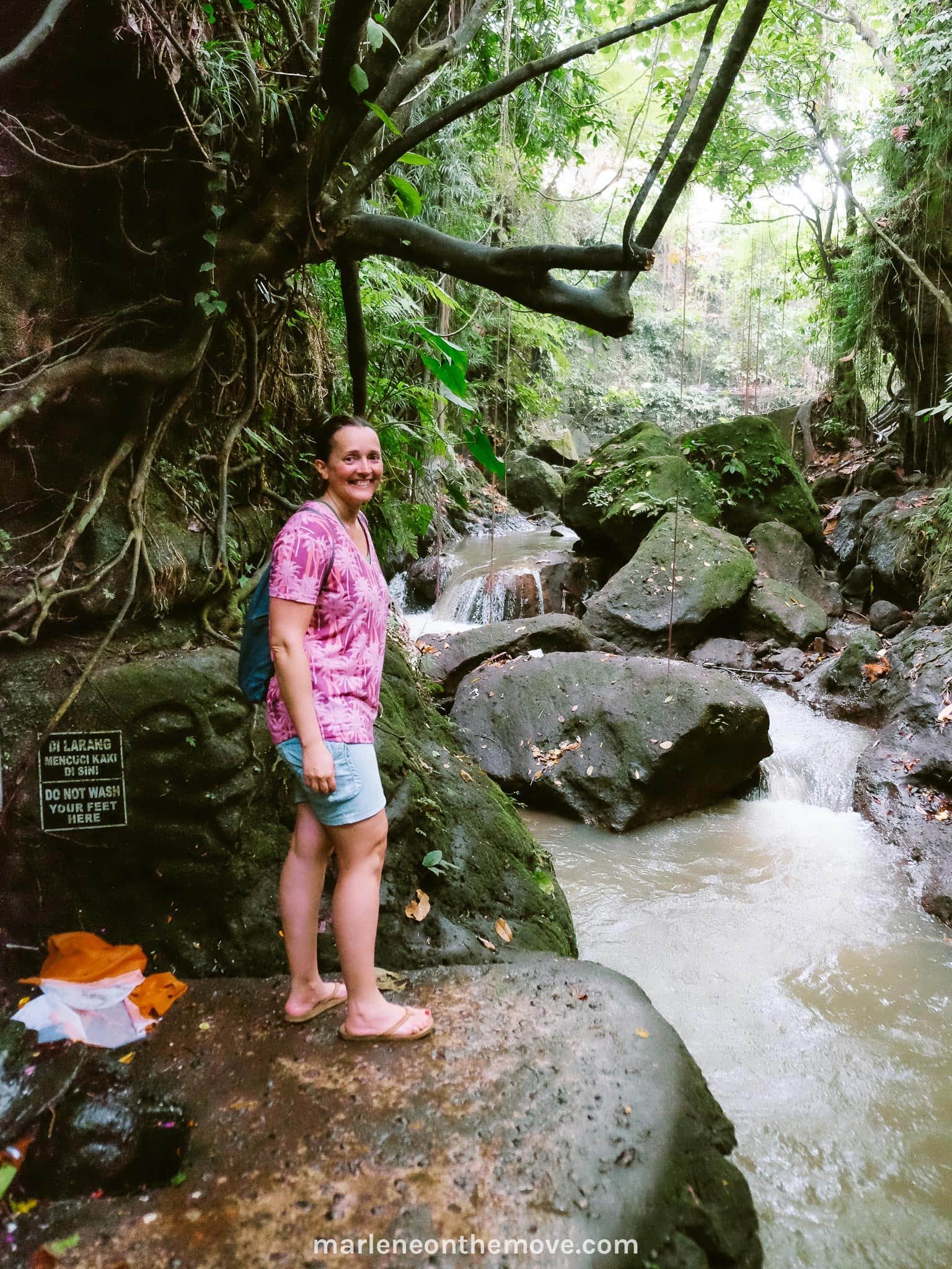 The river in the Monkey Forest