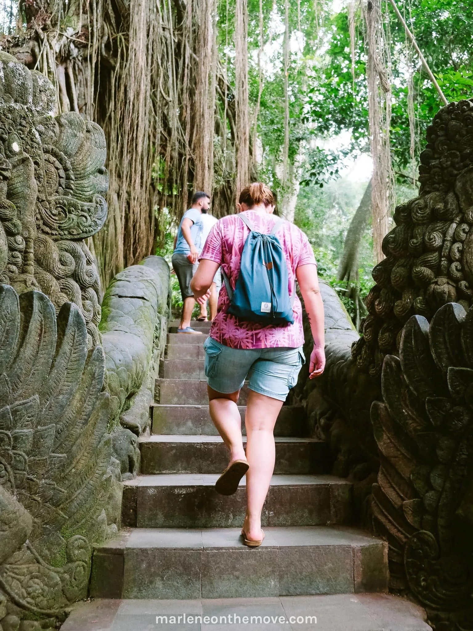 Walking in the Monkey Forest