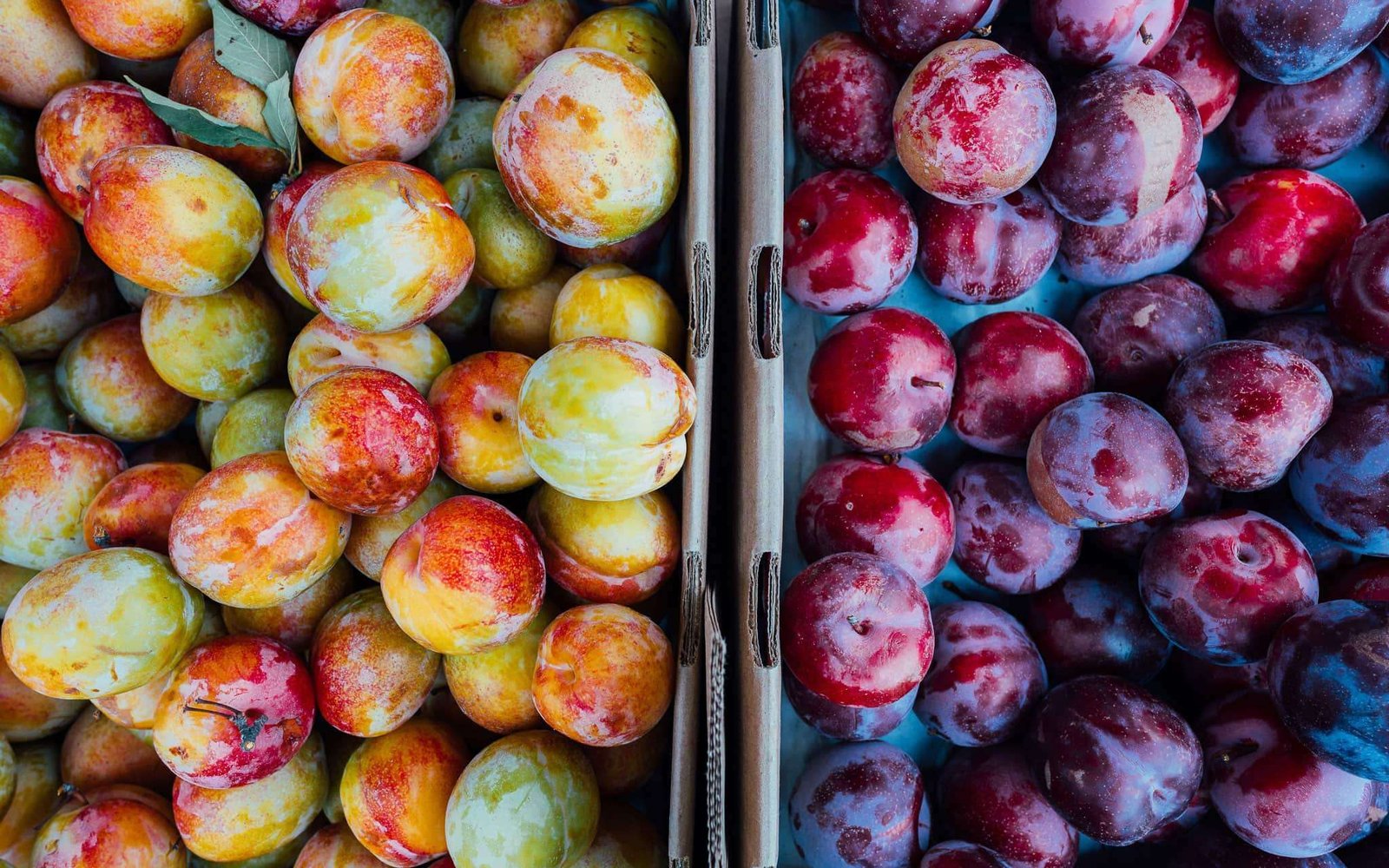 Explorar o Mercado de Campo de Ourique em Lisboa