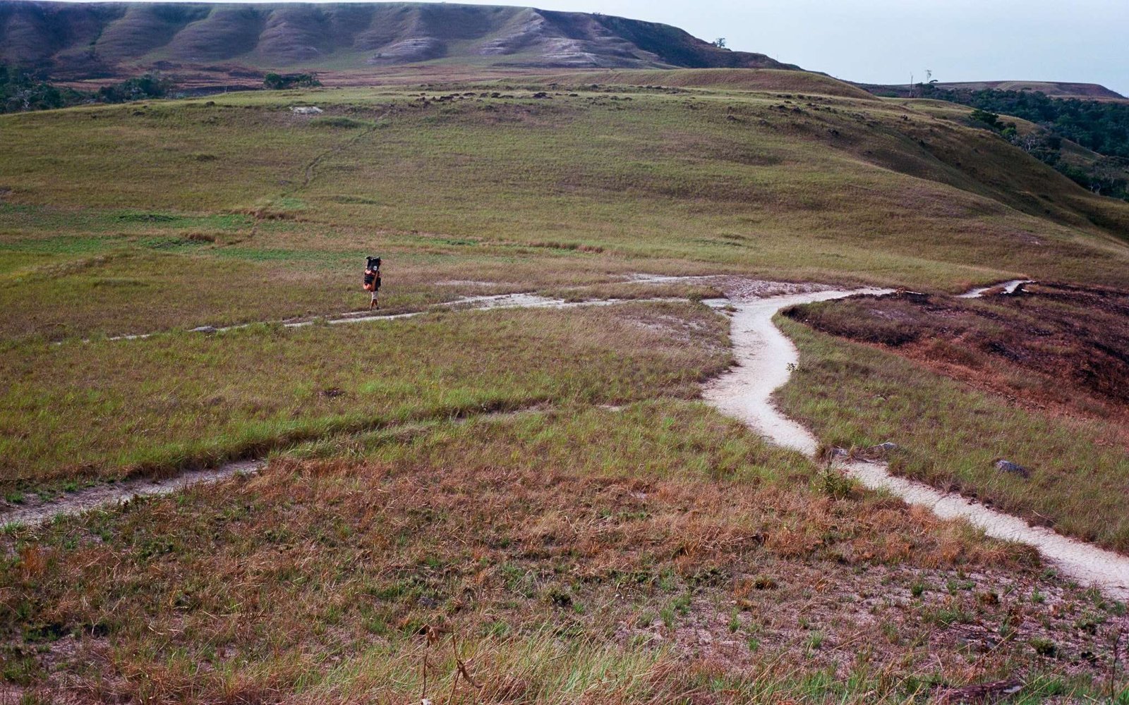 Monte Roraima, Venezuela