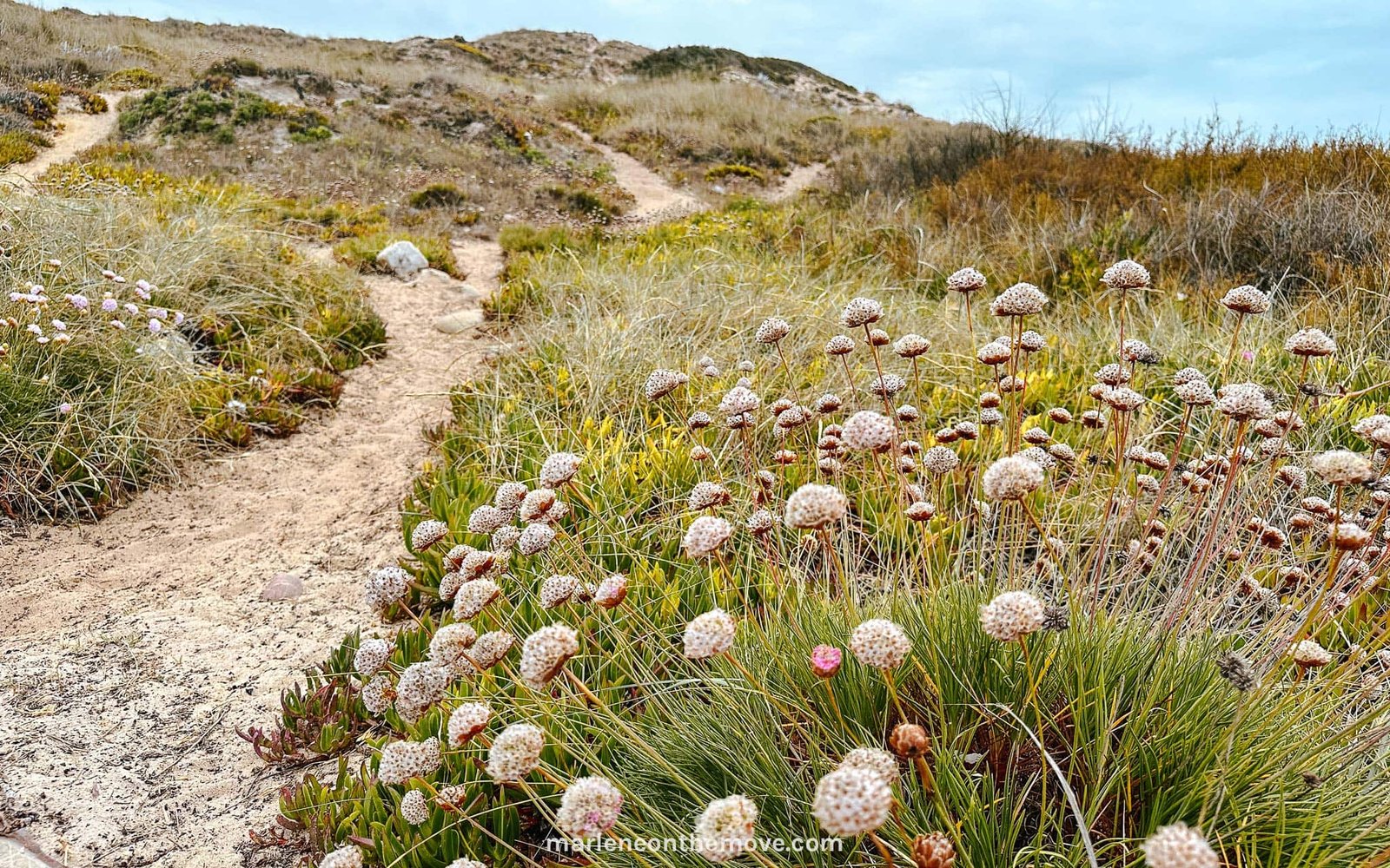 Parque Natural do Sudoeste Alentejano e Costa Vicentina