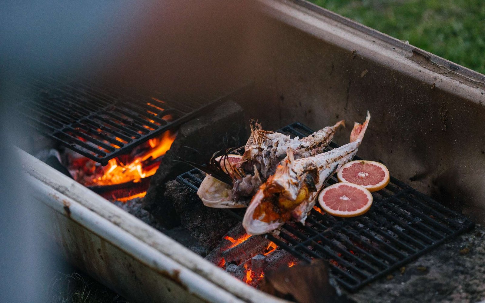 Churrasco de Natal na Nova Zelândia