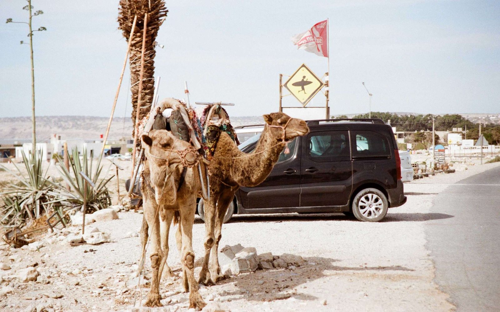 surf trip a Marrocos