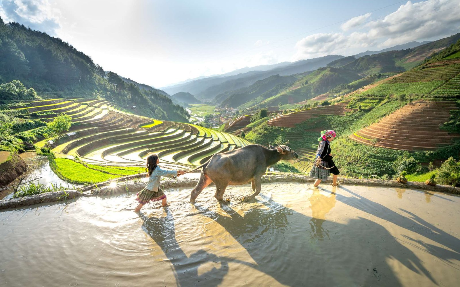 Cenário agrícola local na Ásia é um exemplo do que podemos ver em viagens alternativas