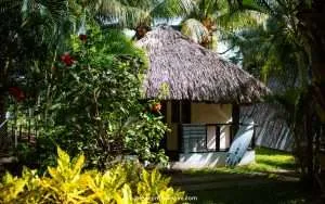 Top surf camps to go