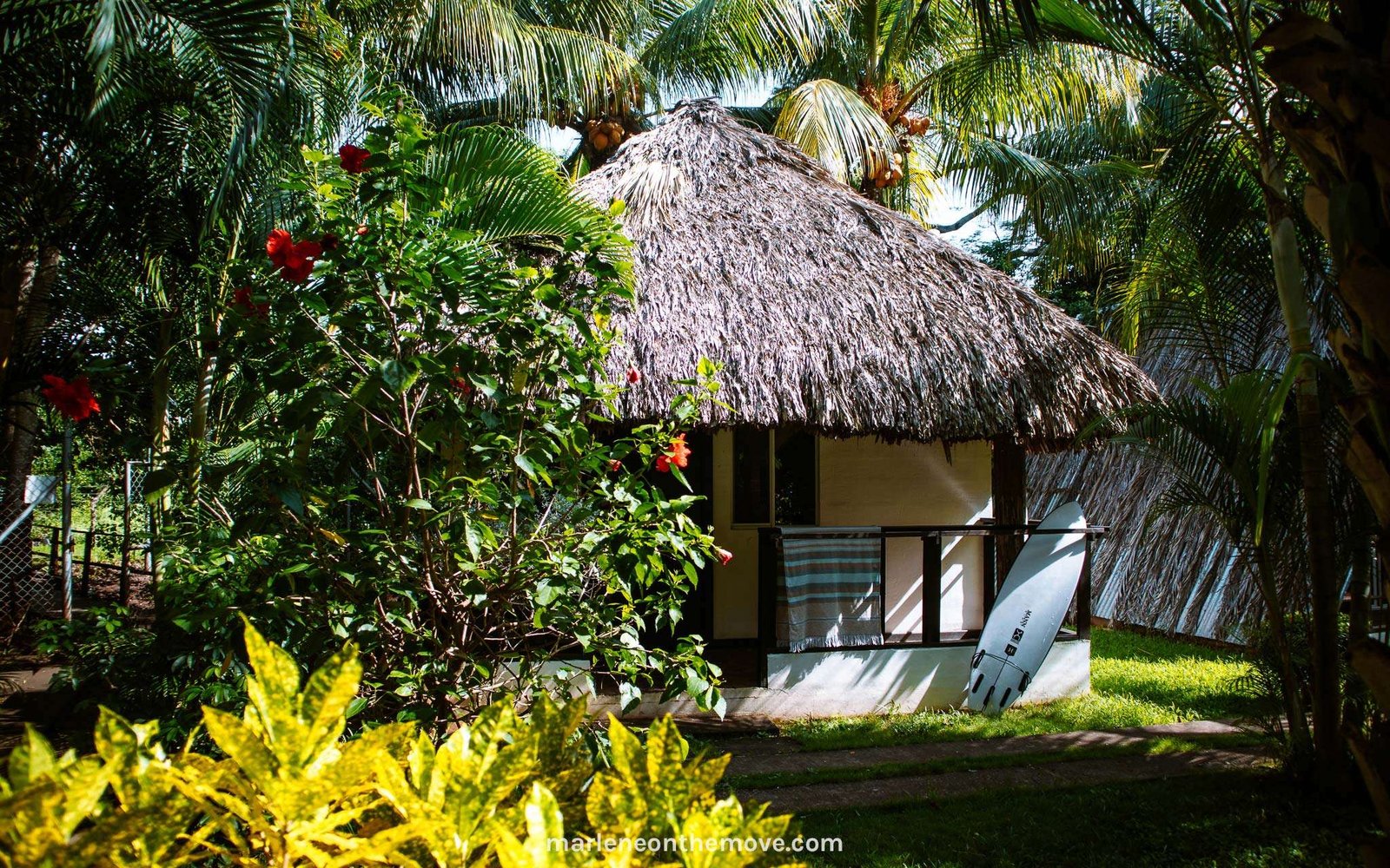 Top surf camps to go