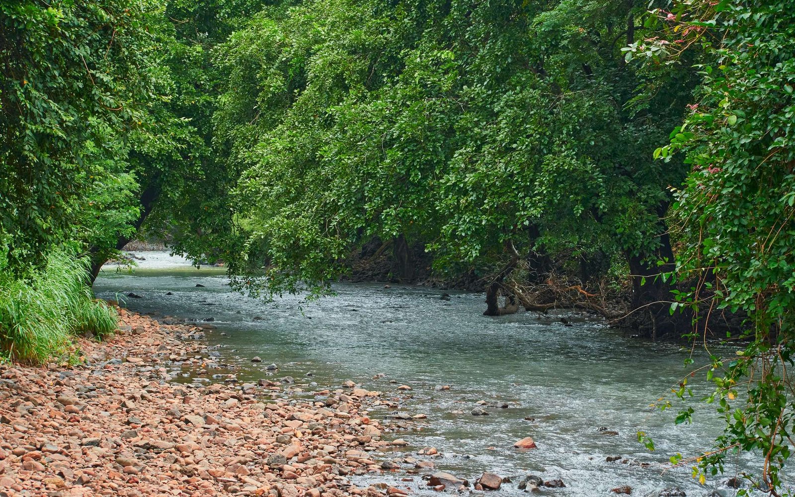 Sanjay Gandhi National Park, em Mumbai, um dos destinos para nómadas digitais