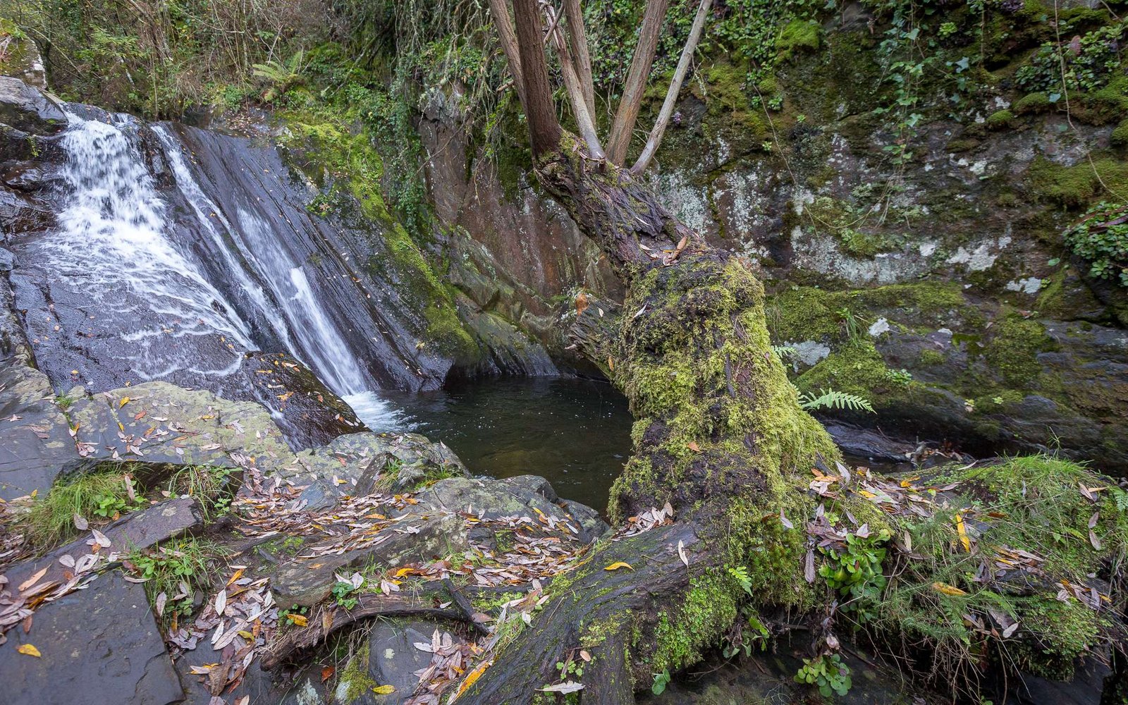 The Nossa Senhora da Piedade waterfall is one of the closest to Lousã village