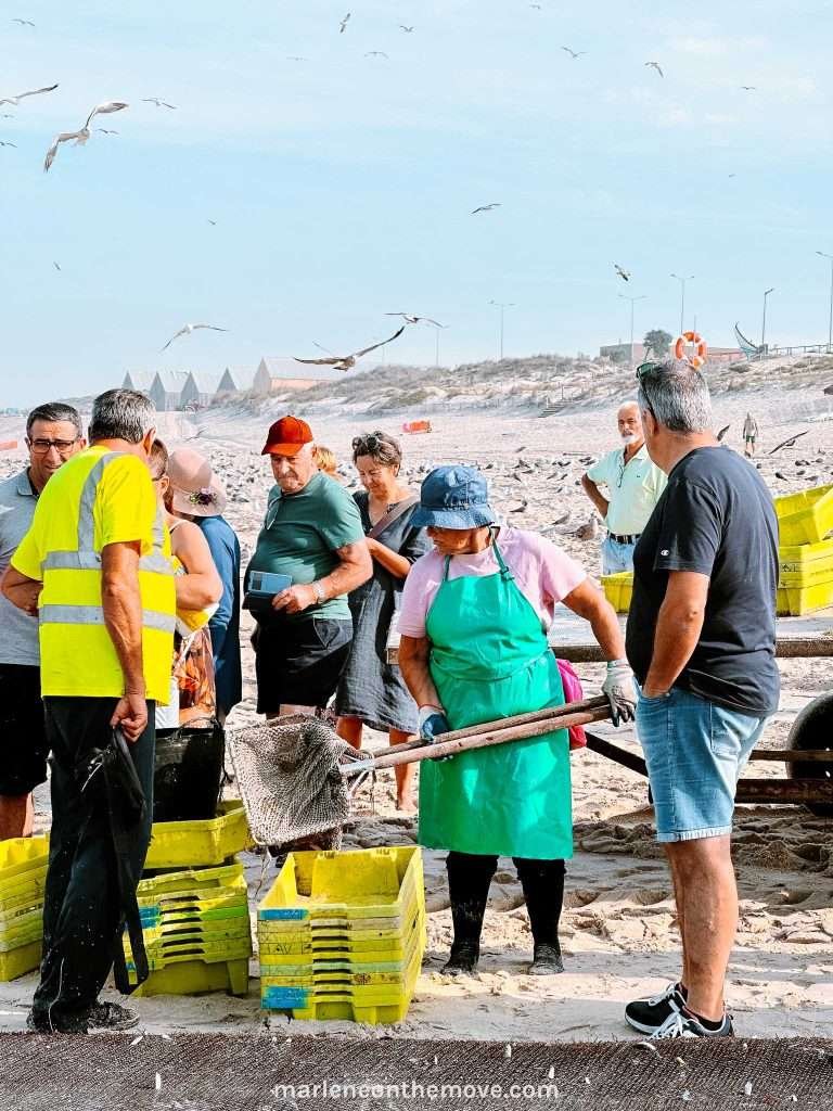 Fishermens sort the fishes as they arrive at the beach