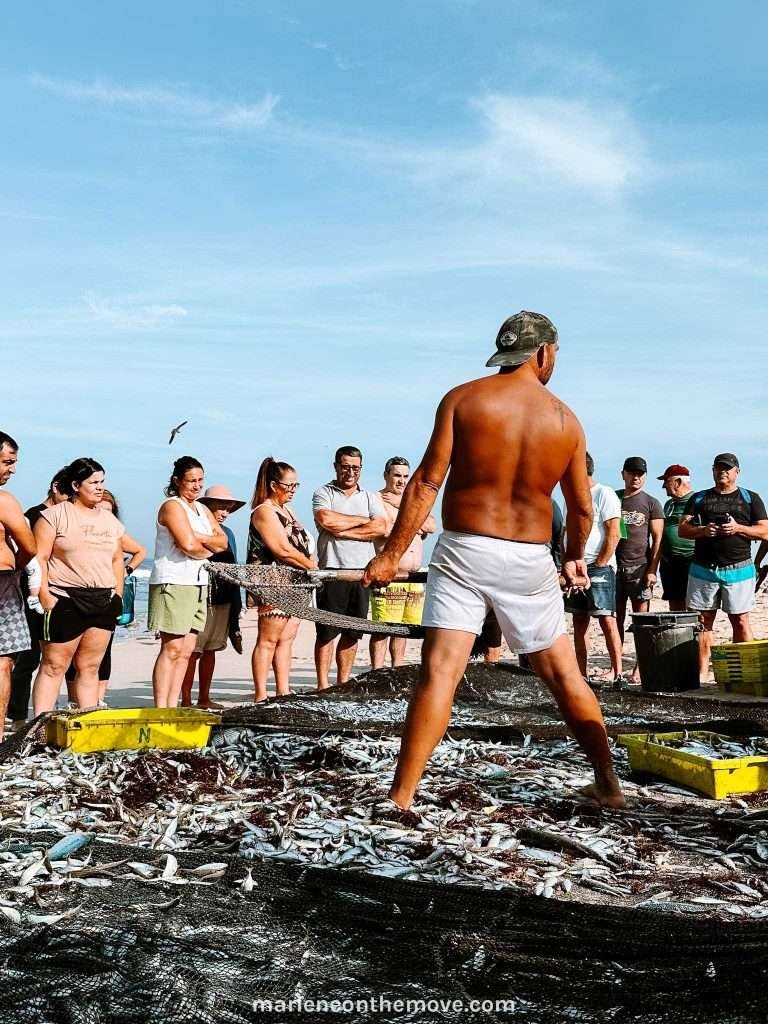 Getting the fish out of the net is one of the steps in arte xávega